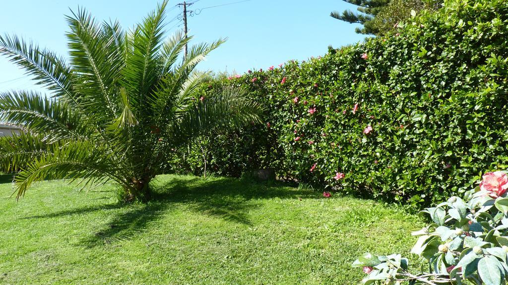 Azores Garden House - Private Suites & Apartments - Automatic Self Check-In Ponta Delgada Kültér fotó